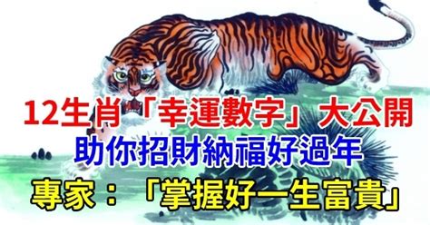 屬虎幸運數字|12生肖「幸運數字」曝光！專家：掌握好一生富貴